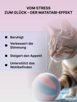 Matatabi zum Stressabbau wenn „Allein zu Hause“, 1 g. 5