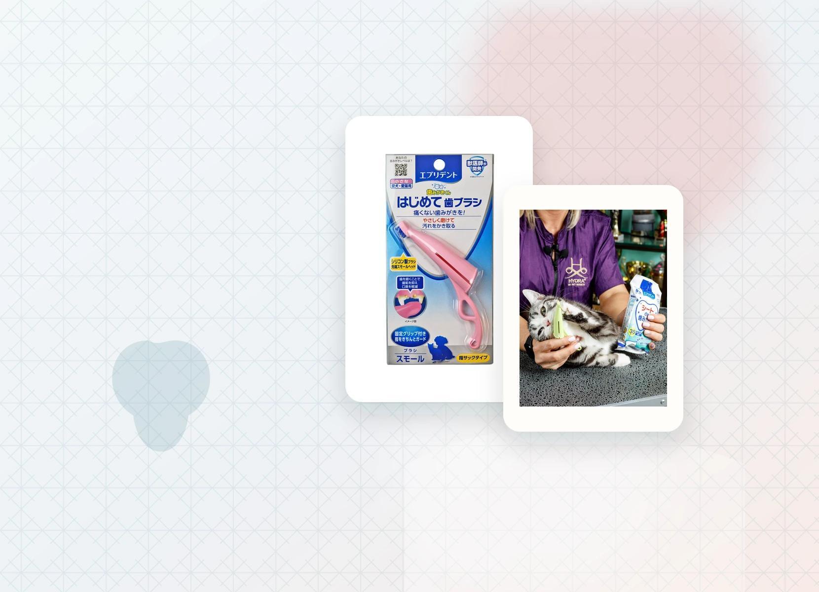 Gentle dental habits — Japan Premium Pet editorial product composition