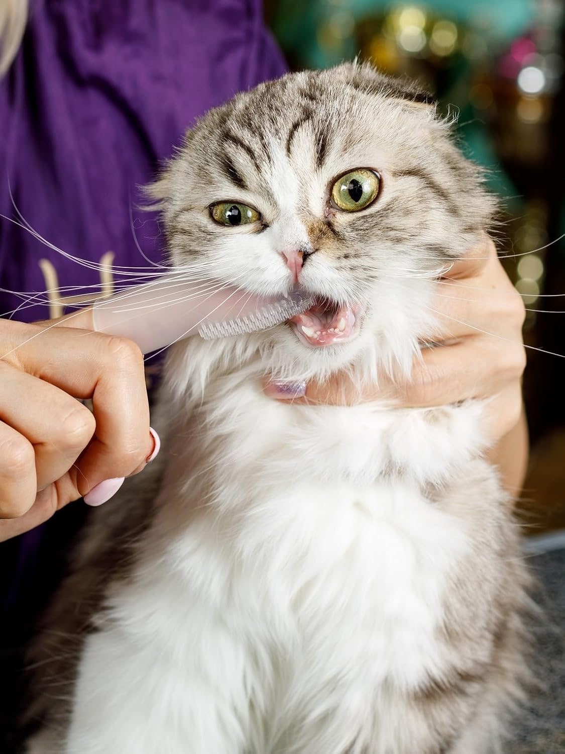 Soft silicone brush stocking-shaped for dogs and cats