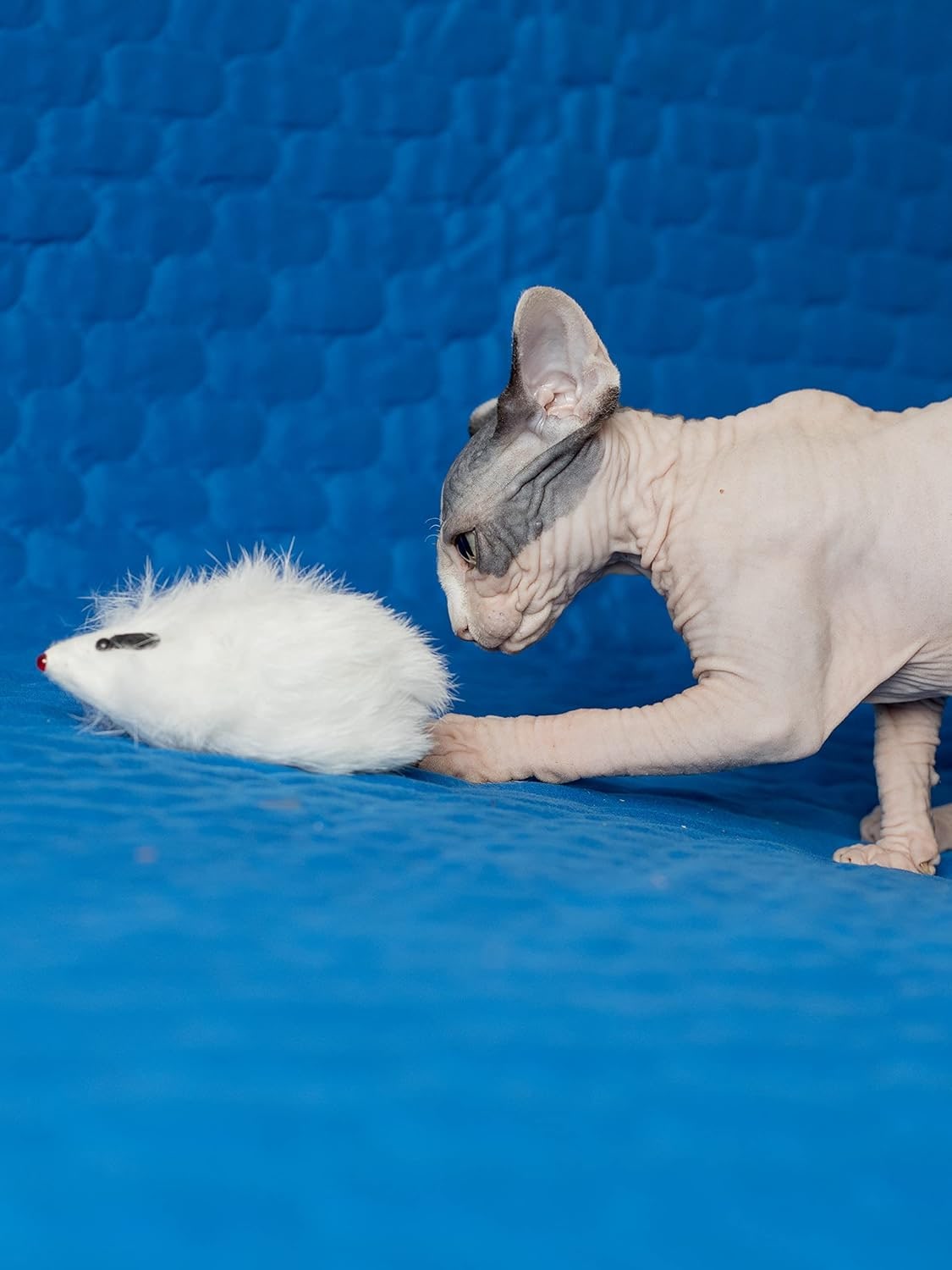 Katzenspielzeug Maus aus Naturhasen