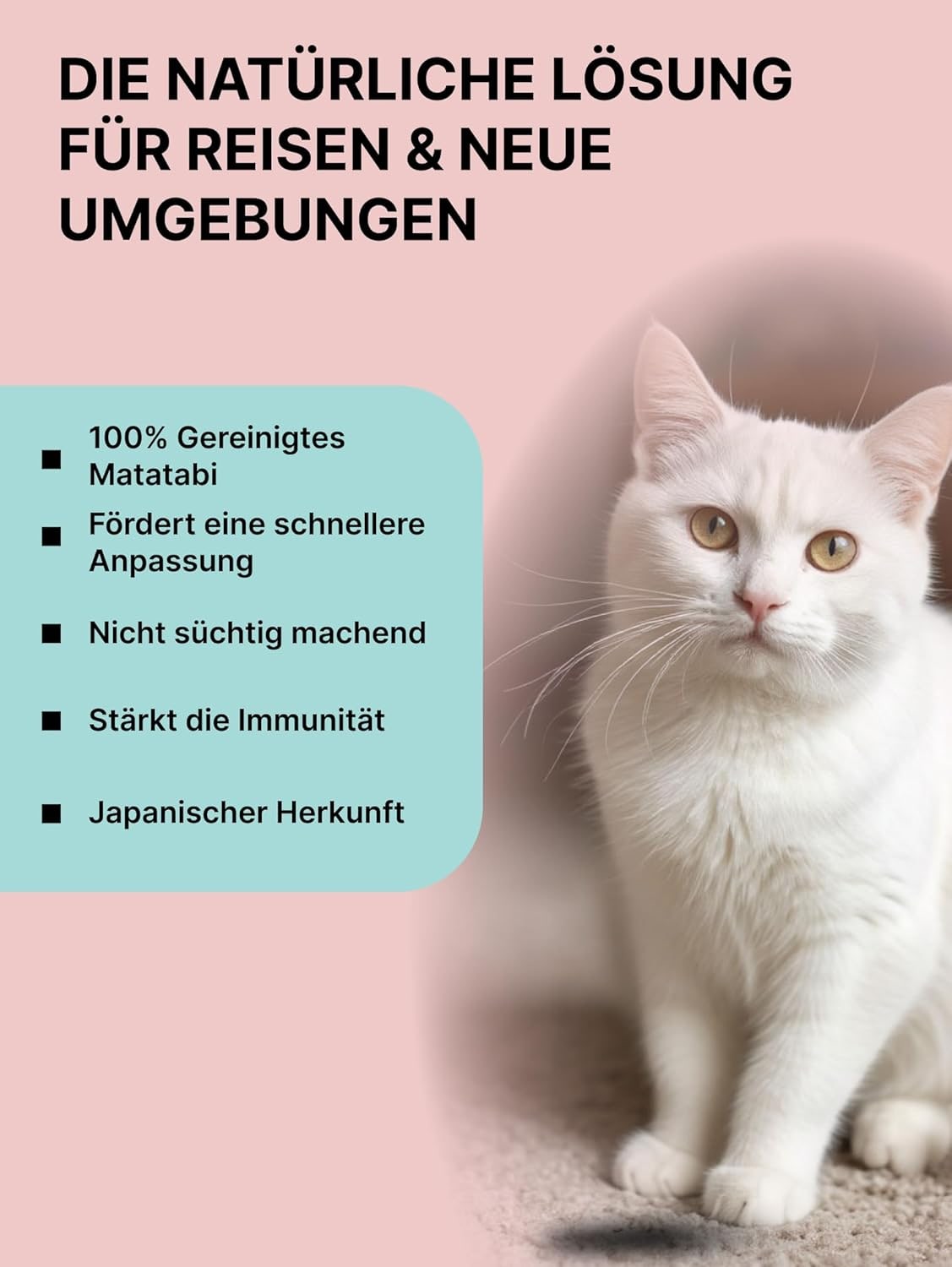 Relaxants & Anxiety Relief for Cats | Matatabi Powder a Natural Cat Stress Relief for Travel or Changing Environment I A Powerful Alternative to Catnip or Valerian Root I 100% Pure Silvervine