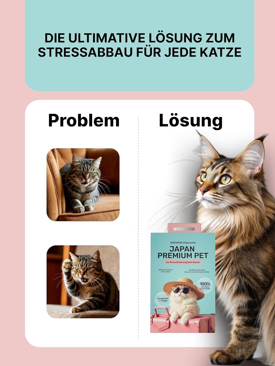 Relaxants & Anxiety Relief for Cats | Matatabi Powder a Natural Cat Stress Relief for Travel or Changing Environment I A Powerful Alternative to Catnip or Valerian Root I 100% Pure Silvervine