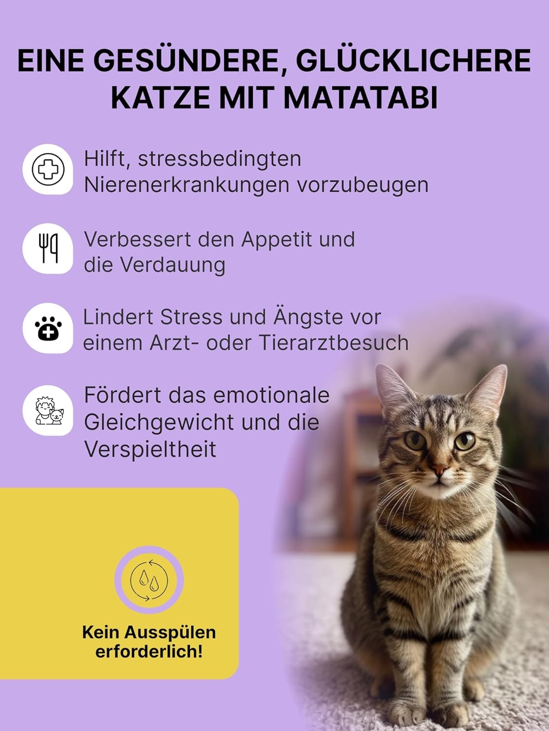 Relaxants & Anxiety Relief for Cats | Matatabi Powder a Natural Cat Stress Relief During Doctor or Hairdresser Visits I Immune System Booster & Alternative to Catnip I 100% Pure Silvervine