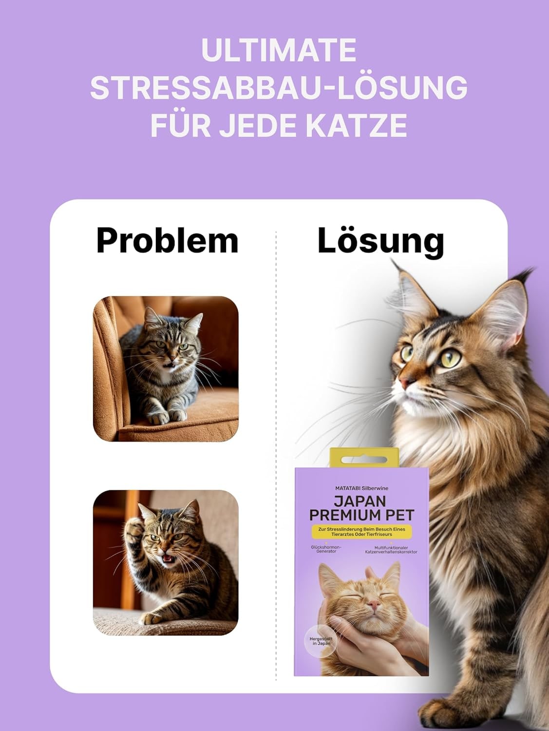 Relaxants & Anxiety Relief for Cats | Matatabi Powder a Natural Cat Stress Relief During Doctor or Hairdresser Visits I Immune System Booster & Alternative to Catnip I 100% Pure Silvervine