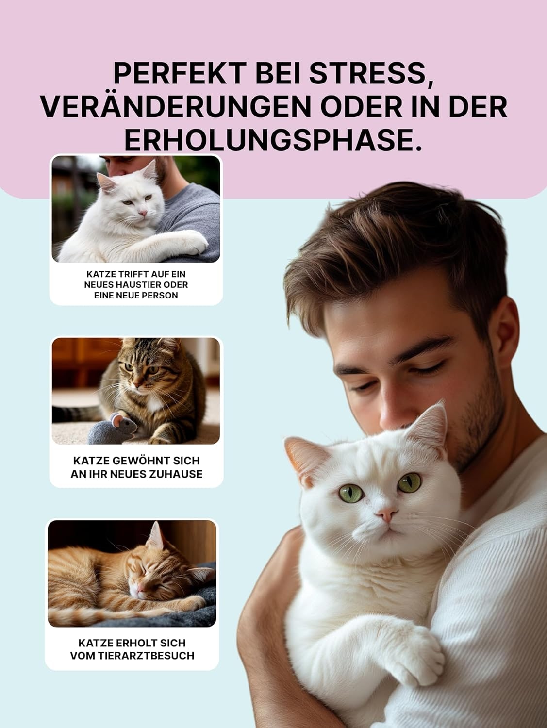 Matatabi for Cats, Matatabi for Kittens, Matatabi for Cat Behavior, Matatabi, 1 g (Elimination of Impulsive Aggression)