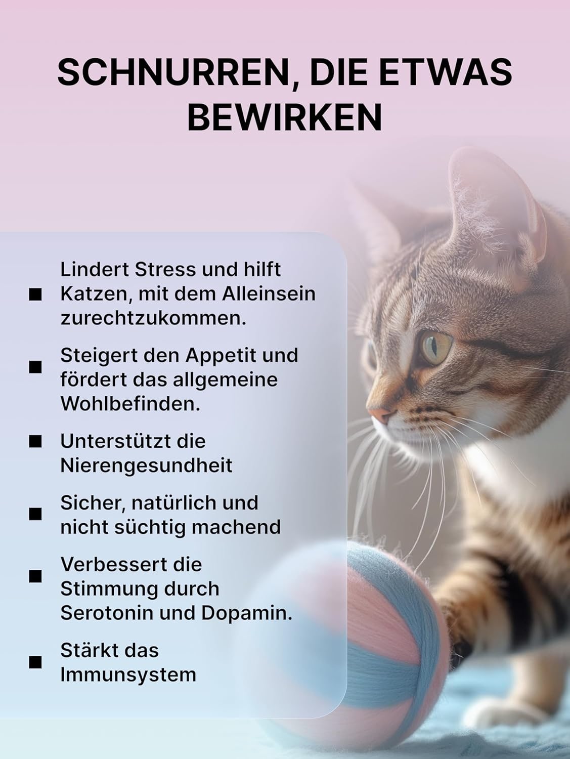 Matatabi for Cats, Matatabi for Kittens, Matatabi for Cat Behavior, Matatabi, 1 g (Elimination of Impulsive Aggression)
