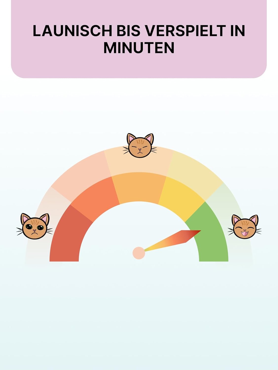 Matatabi for Cats, Matatabi for Kittens, Matatabi for Cat Behavior, Matatabi, 1 g (Elimination of Impulsive Aggression)
