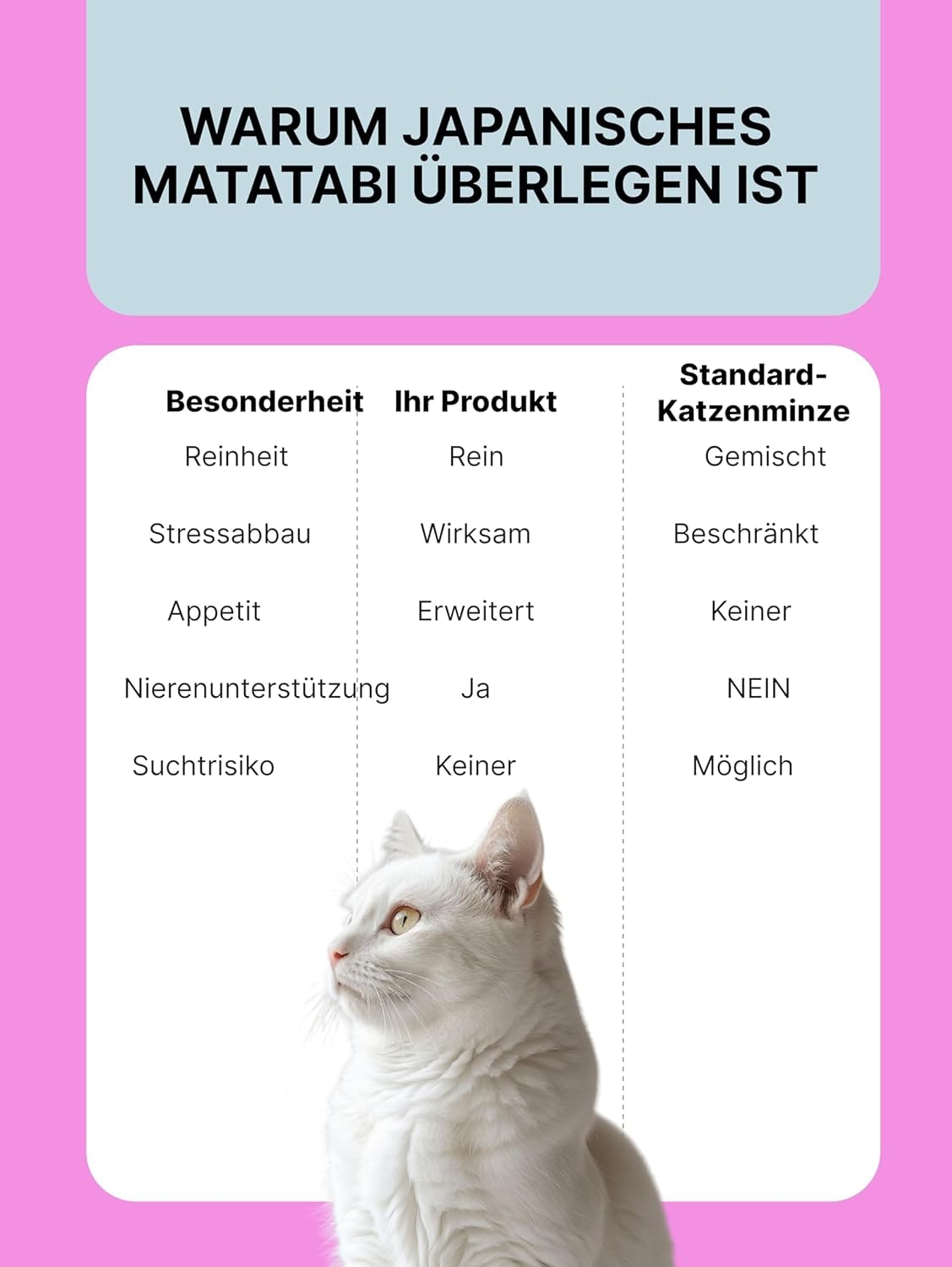 Matatabi para gatos, Matatabi para gatitos, Matatabi para el comportamiento de los gatos, Matatabi, 1 g (aumentar el interés)