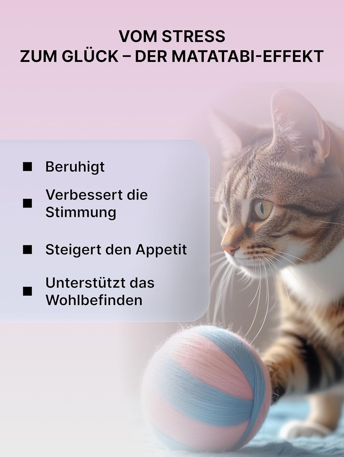 Matatabi Pulver für Katzen | Natürliches Stressmittel für Entspannte Katzen, Wenn sie Allein Sind | Alternative zu Katzenminze Pulver | Fördert Wohlbefinden & Ruhe | Alternative zu Katzenminze-Sticks
