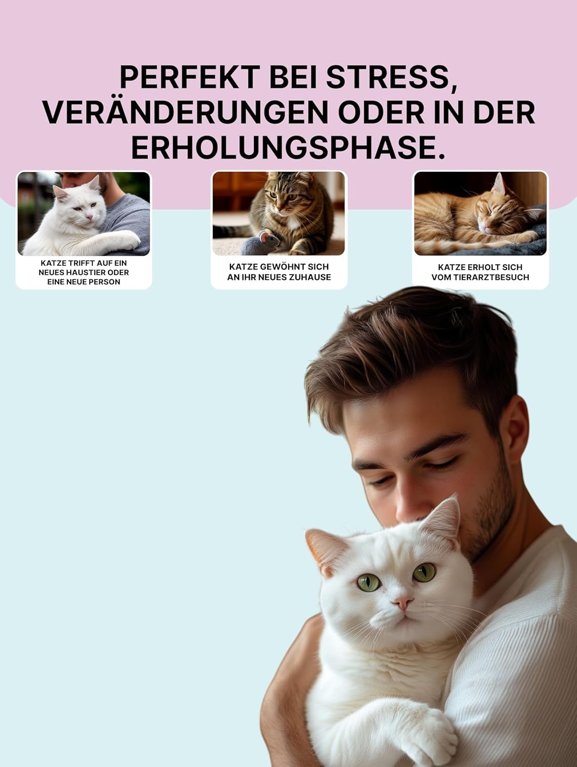 Matatabi Pulver für Katzen | Natürliches Stressmittel für Entspannte Katzen, Wenn sie Allein Sind | Alternative zu Katzenminze Pulver | Fördert Wohlbefinden & Ruhe | Alternative zu Katzenminze-Sticks