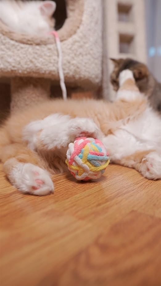 Cat Toy for All Breeds Cat Teaser Matatabi Ball Orange Colour