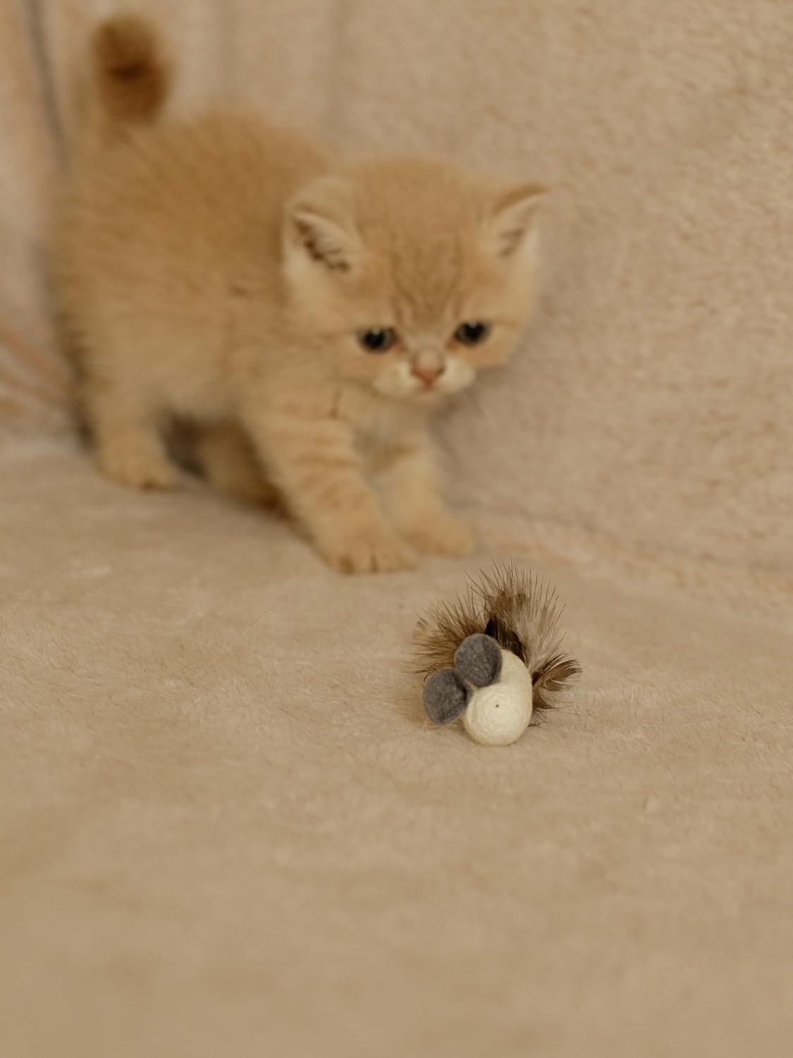 Natural Silkworm Cocoon Mice for Cats of All Breeds to Awaken the Hunter's Play Instinct (Pack of 2)