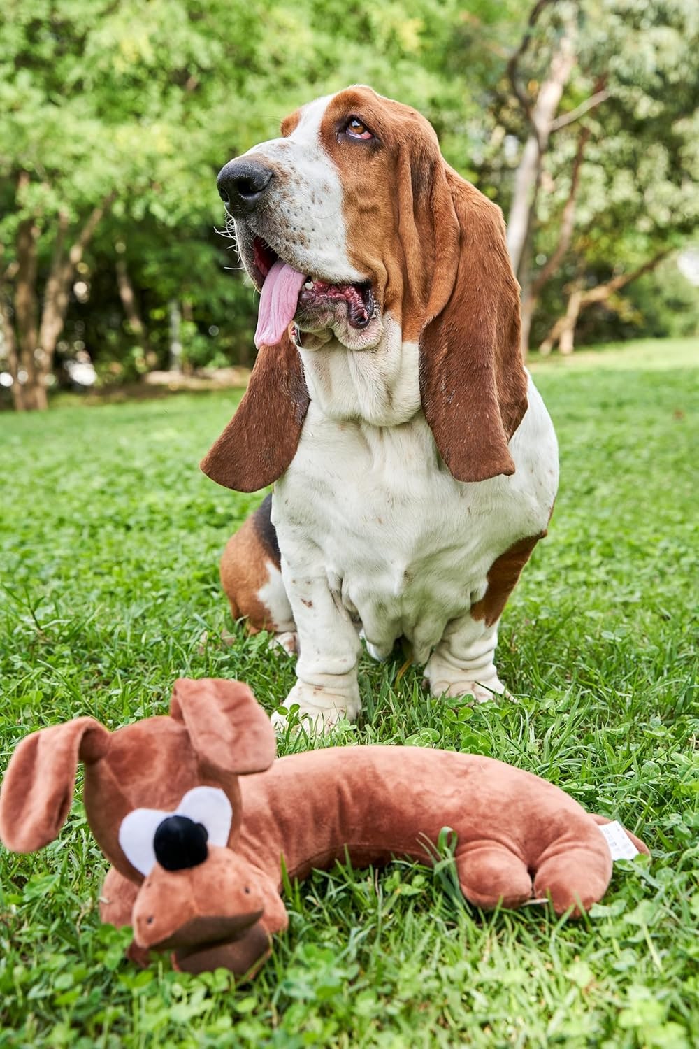 Dog Toy for All Breeds of Dogs Stress Relief Cushion