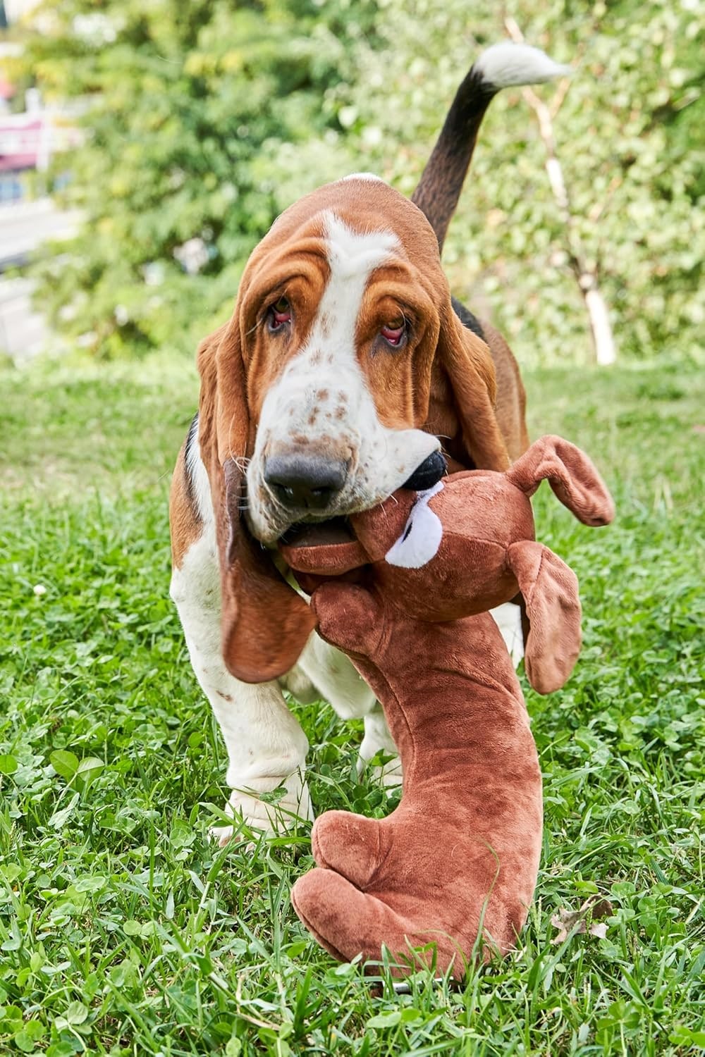 Dog Toy for All Breeds of Dogs Stress Relief Cushion