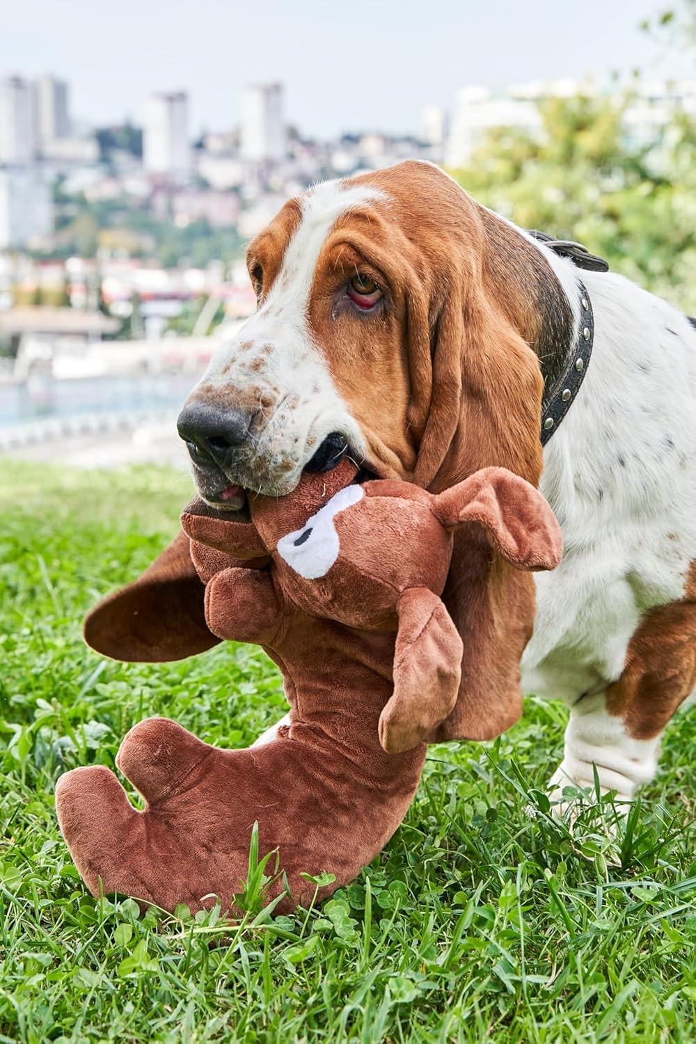 Dog Toy for All Breeds of Dogs Stress Relief Cushion