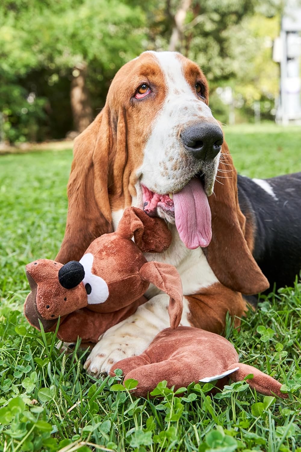 Dog Toy for All Breeds of Dogs Stress Relief Cushion