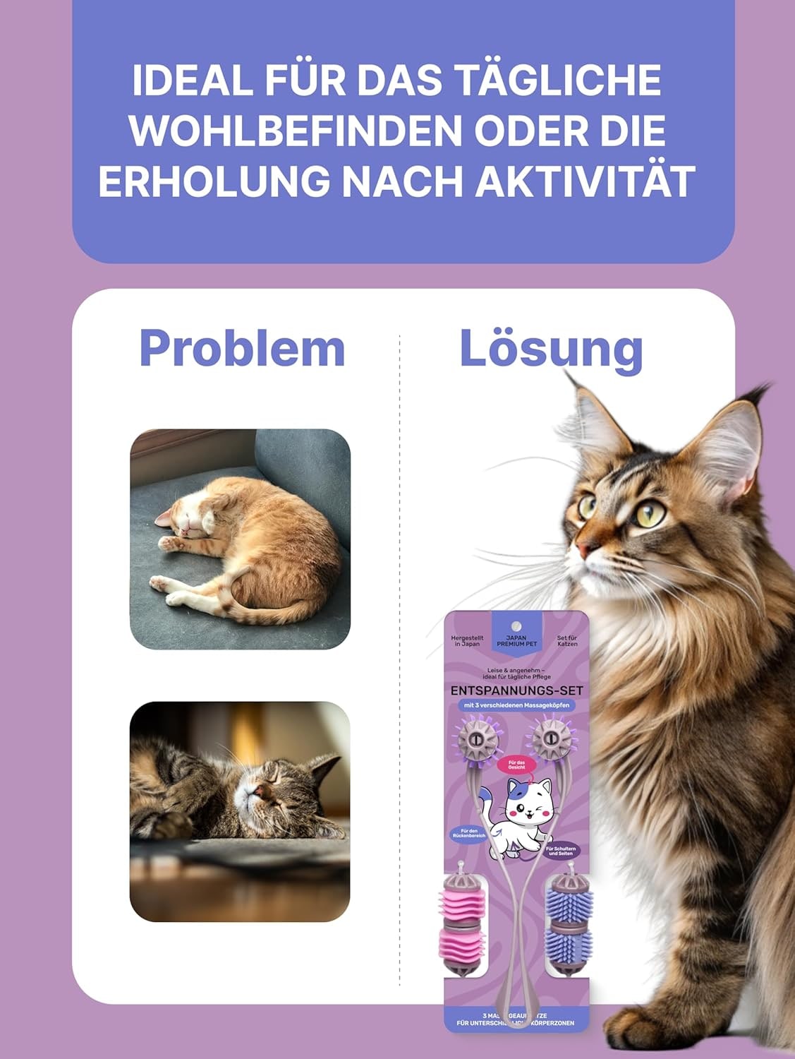 Super Active Longevity Massager for Cats