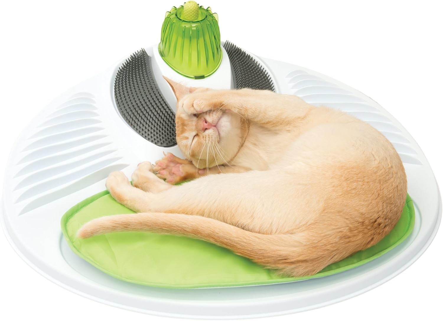Super Active Longevity Massager for Cats