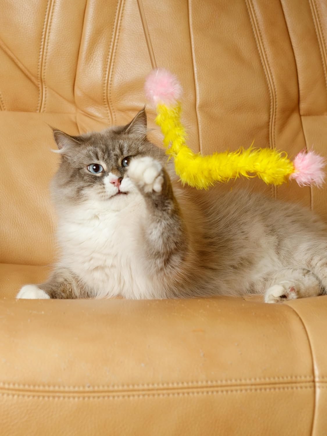 Cat Toy for Cats of All Breeds Teaser Feather Tail