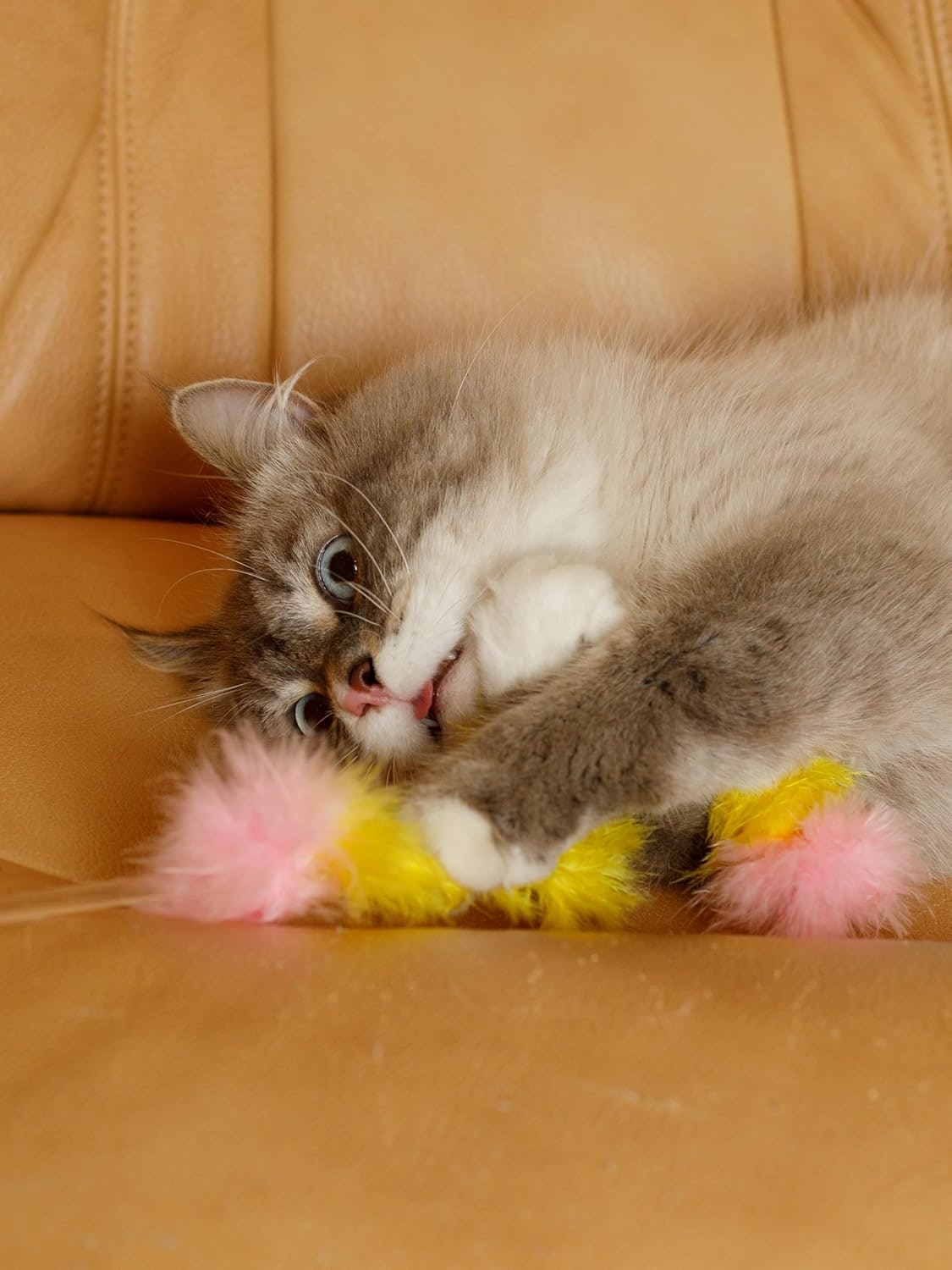 Cat Toy for Cats of All Breeds Teaser Feather Tail
