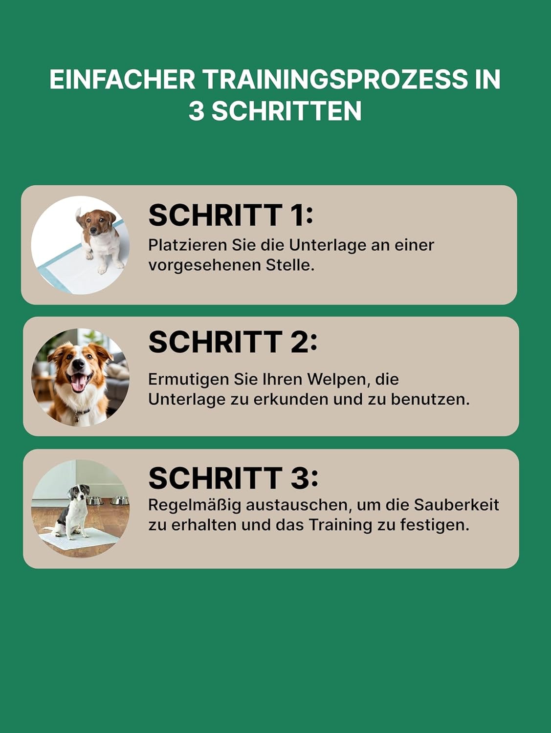 Hundetoilette Trainingspads | Hochsaugfähige Pipi Matten für Hunde | 2-Polymer-Technologie | Geruchsneutralisierend & Rutschfest Welpen Unterlagen | Antibakteriell Puppy Pads | 48Stk