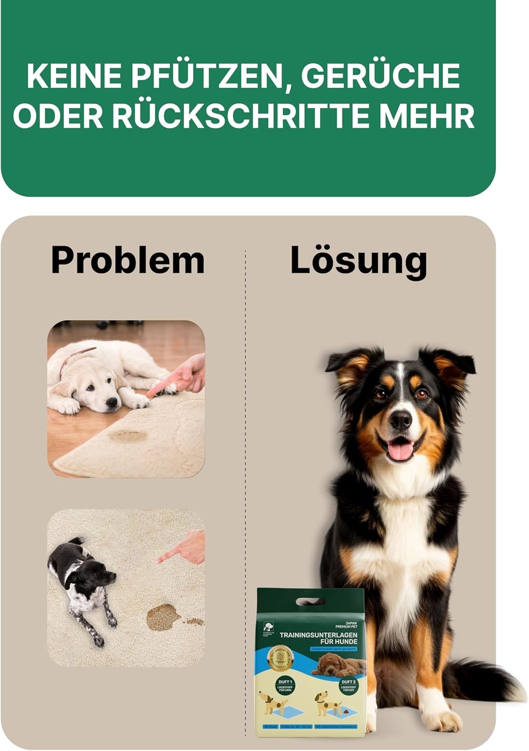 Hundetoilette Trainingspads | Hochsaugfähige Pipi Matten für Hunde | 2-Polymer-Technologie | Geruchsneutralisierend & Rutschfest Welpen Unterlagen | Antibakteriell Puppy Pads | 48Stk