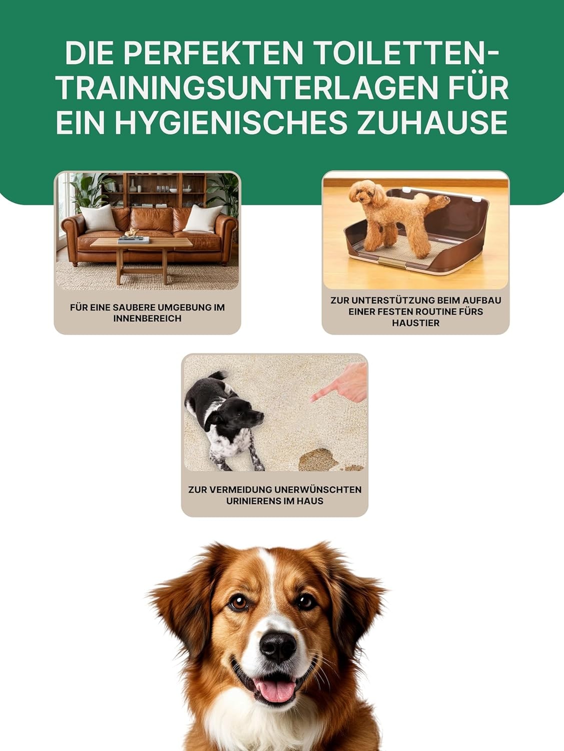 Dog Toilet Training Pads, Highly Absorbent Pipi Mats for Dogs, 2 Polymer Technology, Odour Neutralising & Non-Slip Puppy Pads, Antibacterial Puppy Pads, Pack of 24