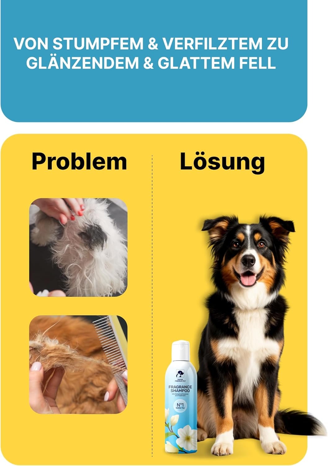 Aromatic Cat & Dog Shampoo with Floral-Fruity Aroma | Dog & Cat Shampoo with Reduced Acidity of pH 5.5 | Suitable for Puppies and Kittens as well | For Shiny Long-Hair | 250 ml