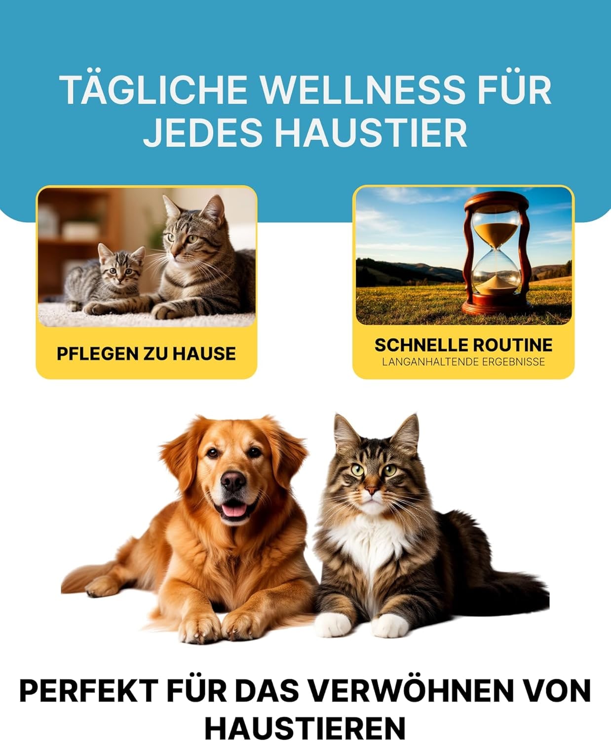 Aromatic Cat & Dog Shampoo with Floral-Fruity Aroma | Dog & Cat Shampoo with Reduced Acidity of pH 5.5 | Suitable for Puppies and Kittens as well | For Shiny Long-Hair | 250 ml