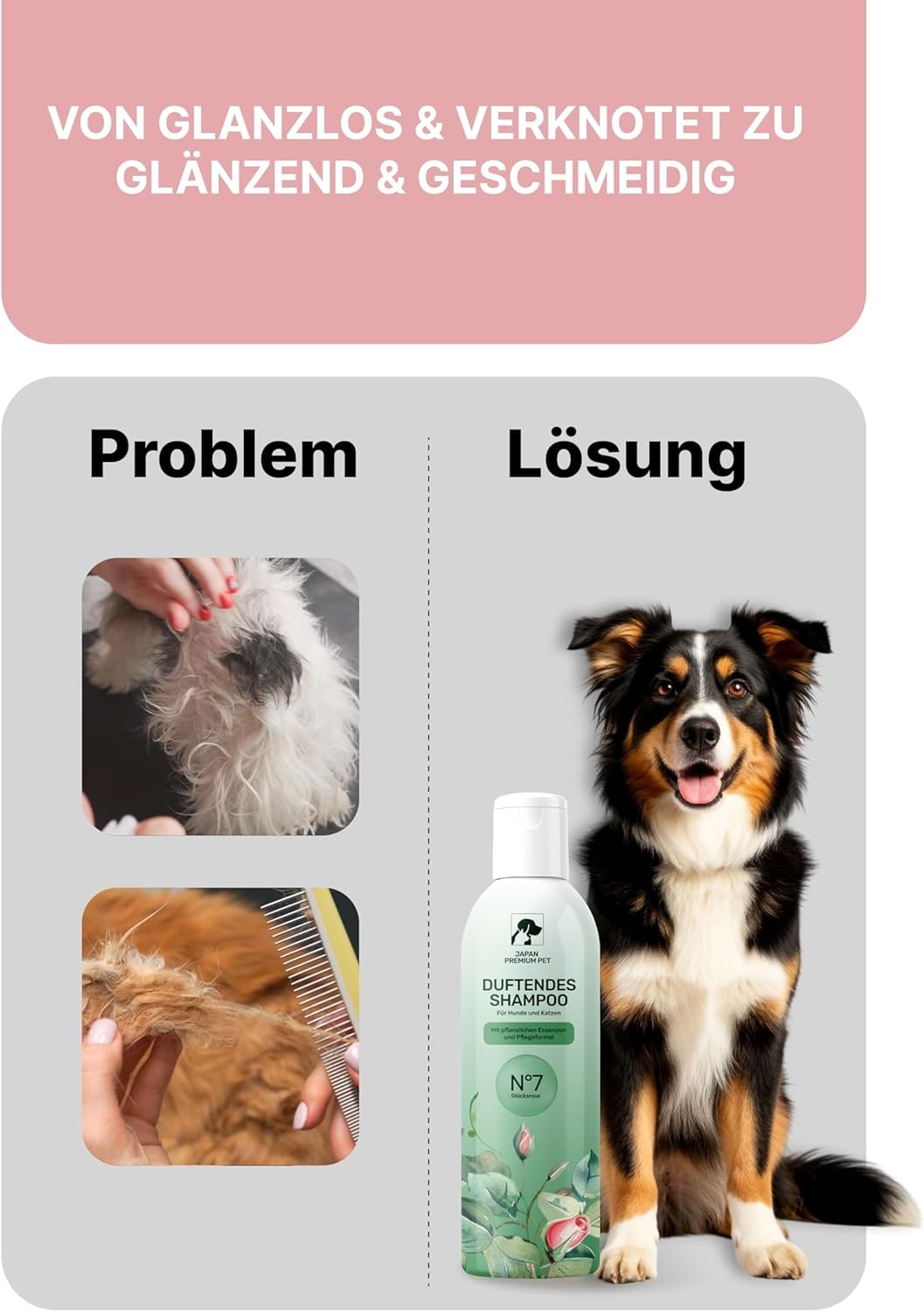 Aromatic Cat & Dog Shampoo with Rose Aroma | Dog & Cat Shampoo with Reduced Acidity pH 5.5 | Suitable for Puppies & Kittens | For Shiny Long Hair | 275 ml