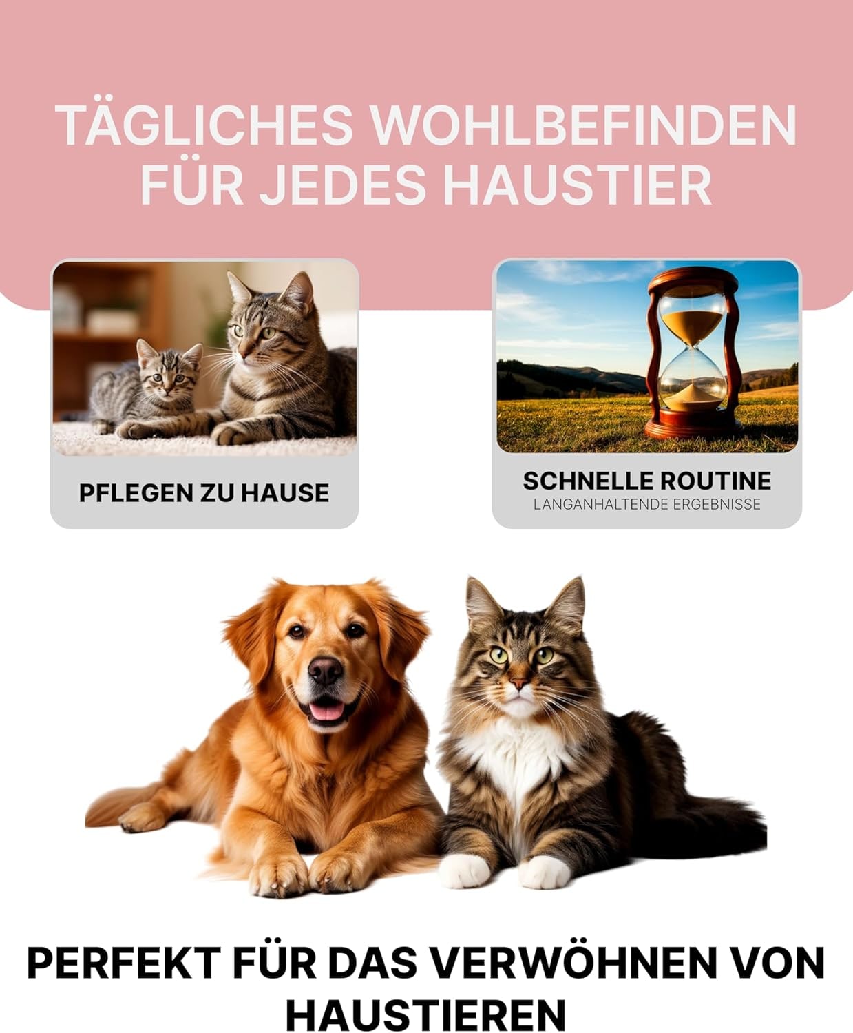 Aromatic Cat & Dog Shampoo with Rose Aroma | Dog & Cat Shampoo with Reduced Acidity pH 5.5 | Suitable for Puppies & Kittens | For Shiny Long Hair | 275 ml