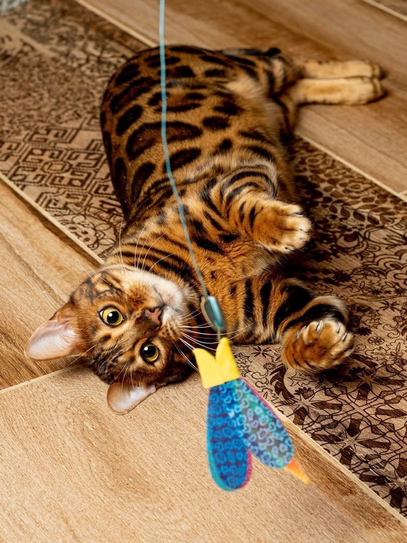 Jouet interactif pour chat - Mur Teaser avec poisson - Mouvement imprévisible - Pour chat