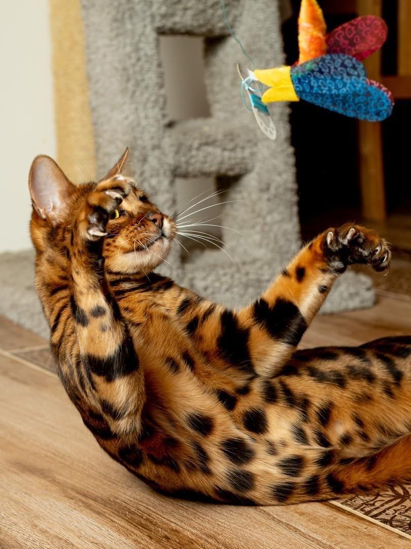 Jouet interactif pour chat - Mur Teaser avec poisson - Mouvement imprévisible - Pour chat