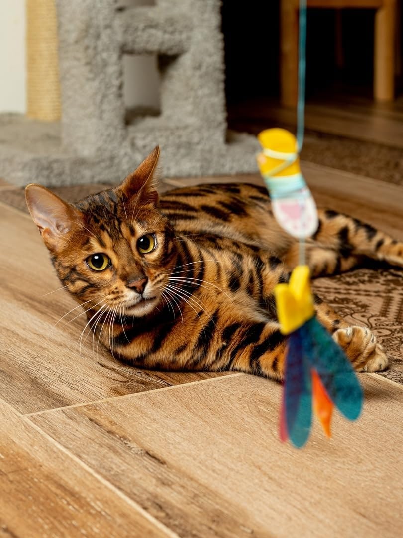 Jouet interactif pour chat - Mur Teaser avec poisson - Mouvement imprévisible - Pour chat