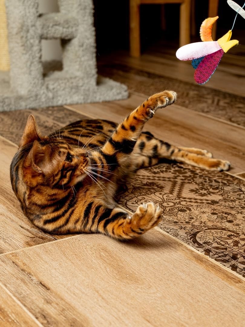 Jouet interactif pour chat - Mur Teaser avec poisson - Mouvement imprévisible - Pour chat