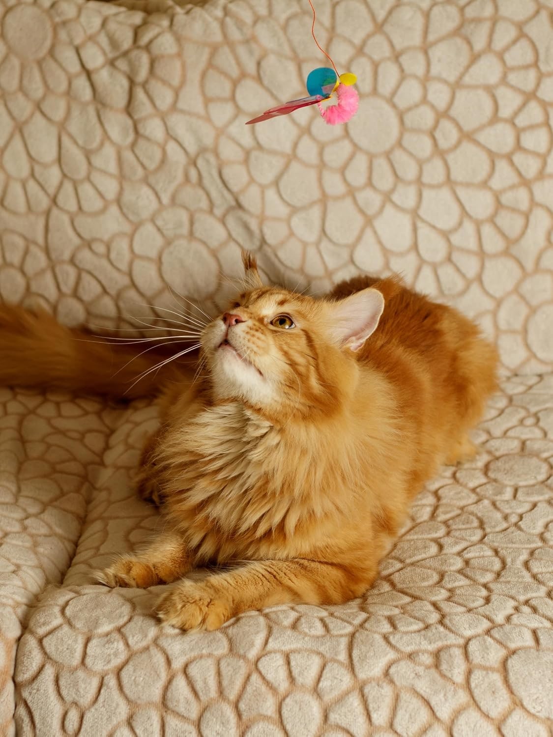 Cat Toy | Interactive Cat Fishing Rod with Mouse | Teaser Angel with Unpredictable Movement | Promotes Hunting Instinct | For Cats