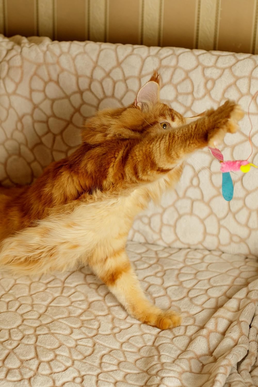 Cat Toy | Interactive Cat Fishing Rod with Mouse | Teaser Angel with Unpredictable Movement | Promotes Hunting Instinct | For Cats