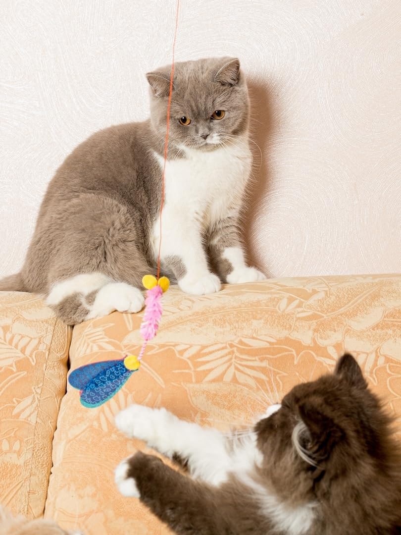 Cat Toy | Interactive Cat Fishing Rod with Mouse | Teaser Angel with Unpredictable Movement | Promotes Hunting Instinct | For Cats