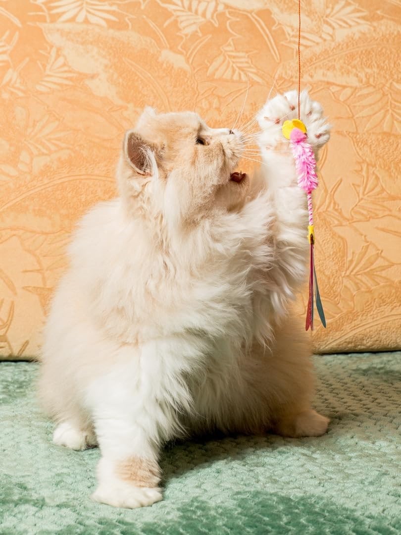Cat Toy | Interactive Cat Fishing Rod with Mouse | Teaser Angel with Unpredictable Movement | Promotes Hunting Instinct | For Cats