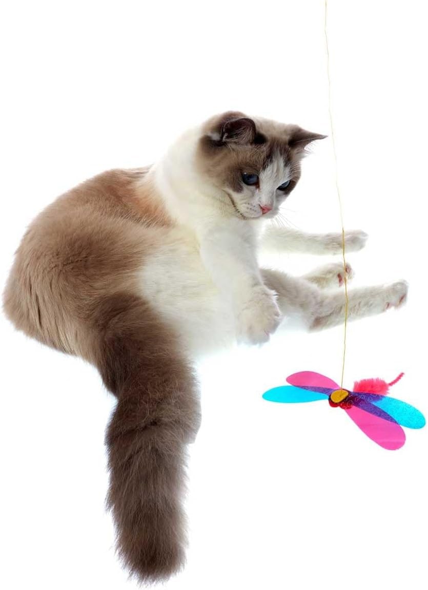 Cat Toy | Interactive Cat Fishing Rod | Teaser Angel with Dragonfly | Unpredictable Movement | For Cats