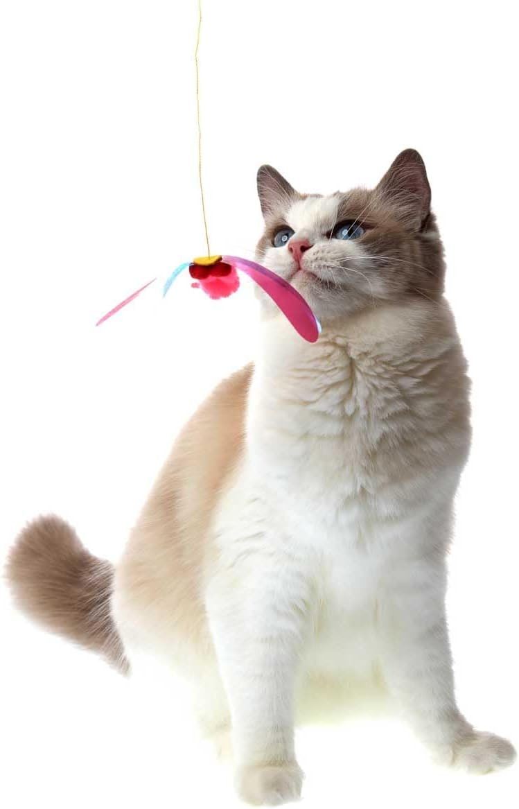 Cat Toy | Interactive Cat Fishing Rod | Teaser Angel with Dragonfly | Unpredictable Movement | For Cats