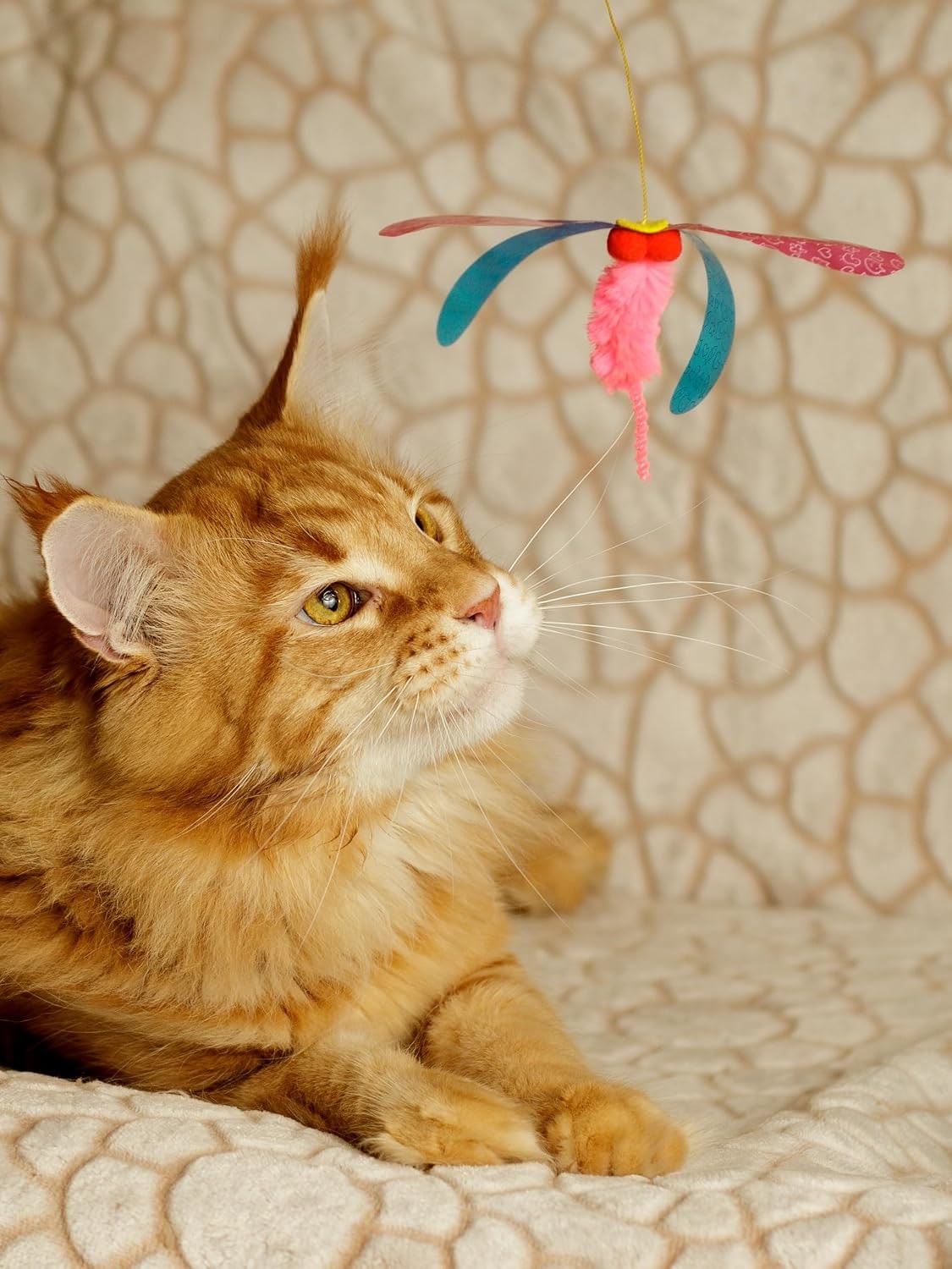 Cat Toy | Interactive Cat Fishing Rod | Teaser Angel with Dragonfly | Unpredictable Movement | For Cats