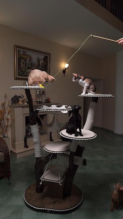 Cat Toy for Cats, Interactive Cat Fishing Rod with Extendable Spin Rod, Bird Orange, Activity Toy for Home Cats, Activates Hunting Instinct and Movement