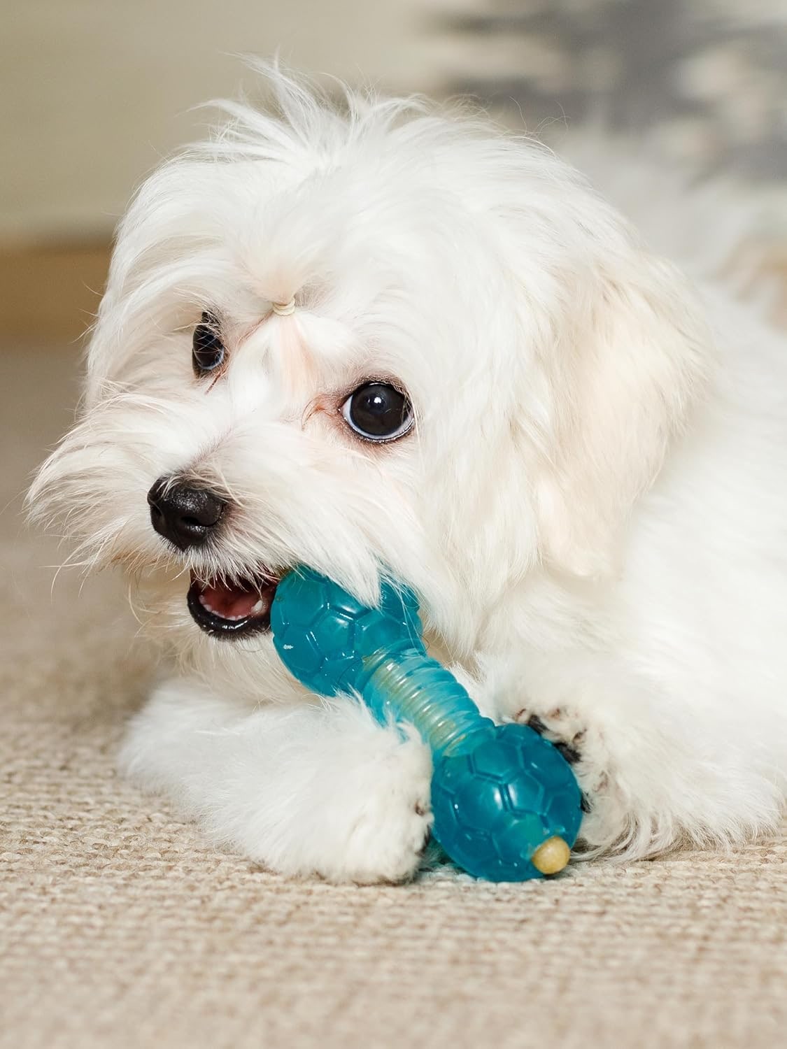 Dumbbell Dog Toy for Small Dogs, Chew Toy for Dental Care with Treat Compartment, Aqua, Soft TPR Material