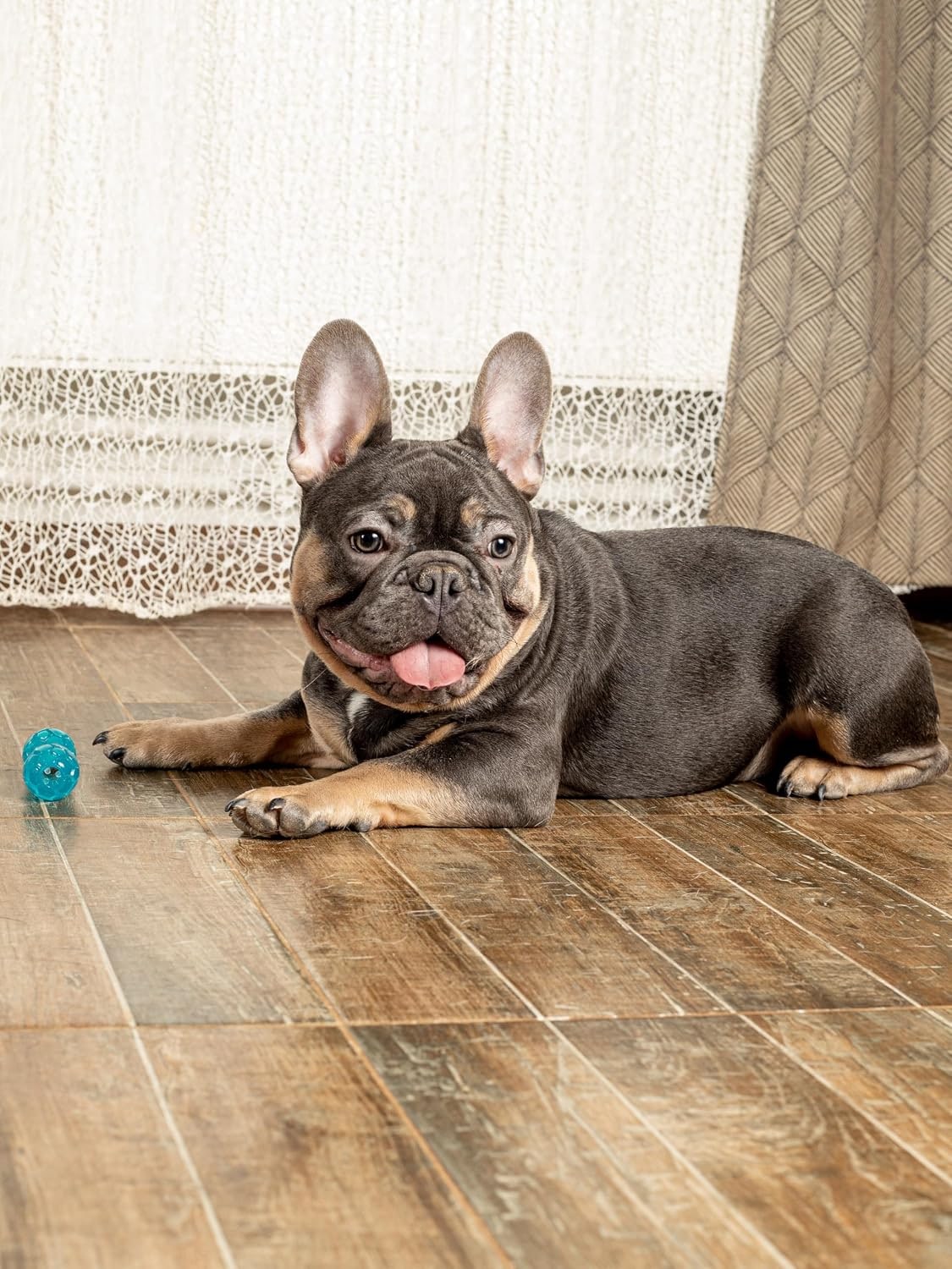 Dumbbell Dog Toy for Small Dogs, Chew Toy for Dental Care with Treat Compartment, Aqua, Soft TPR Material