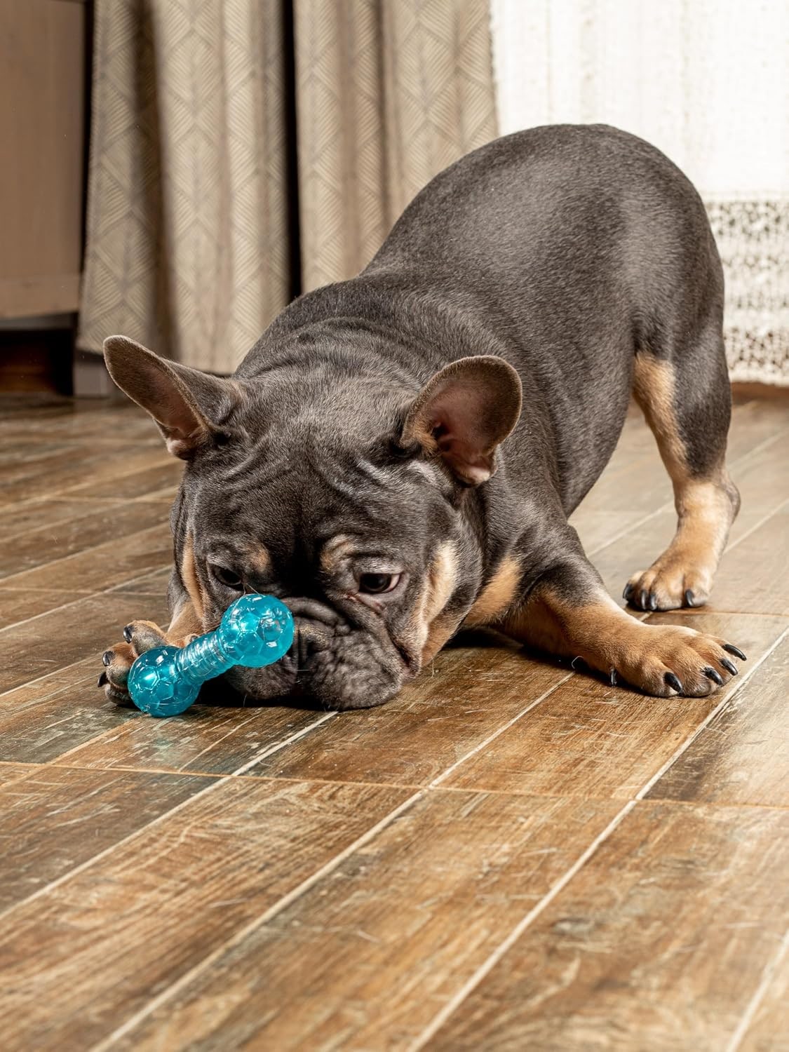 Dumbbell Dog Toy for Small Dogs, Chew Toy for Dental Care with Treat Compartment, Aqua, Soft TPR Material