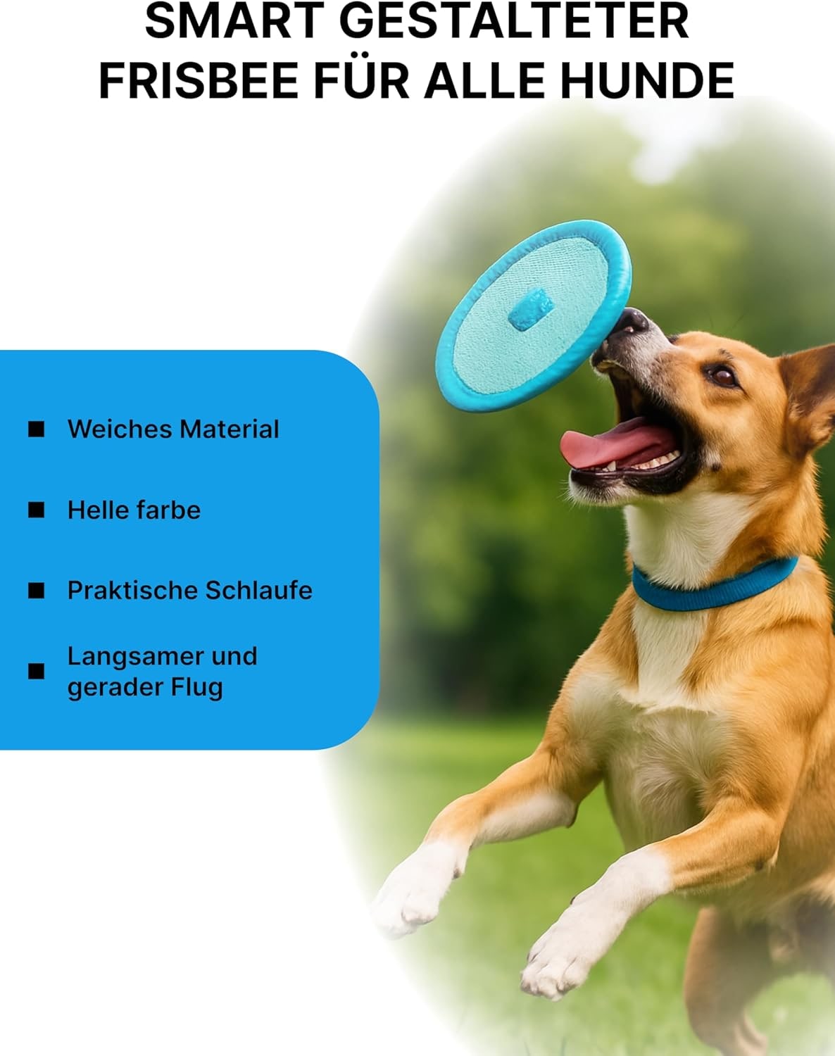 Flying Disc Dog Toy - Froggy (Frisbee) Green