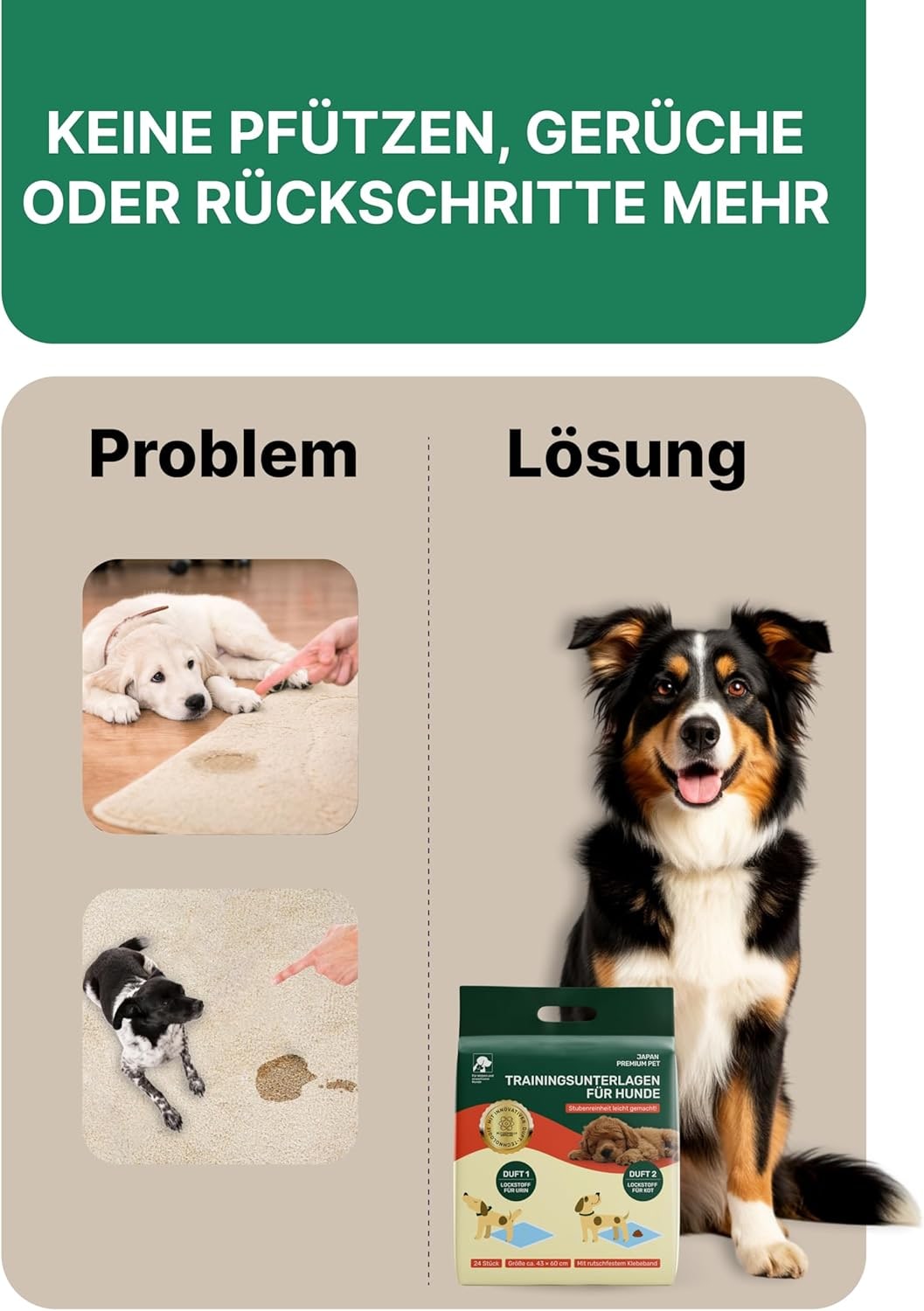Lot de 44 tapis de dressage absorbants pour chien 44 × 59 cm