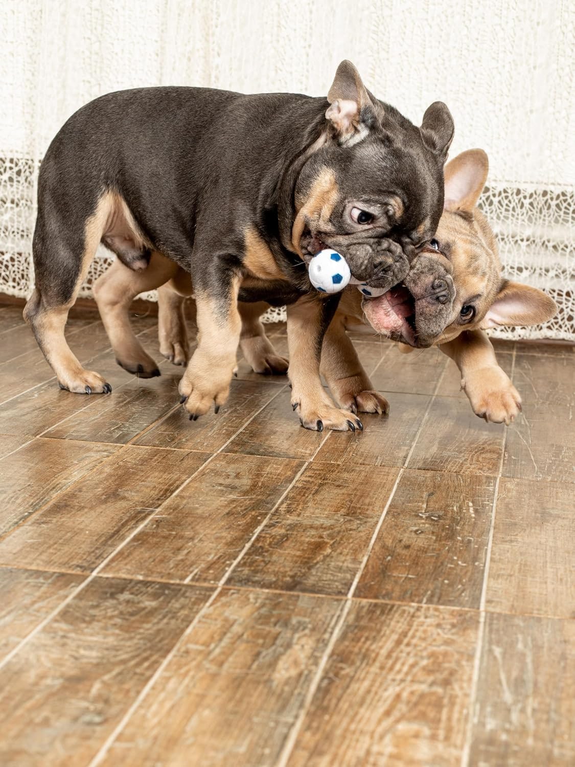 Latex Dog Toy Dumbbell Soft & Robust Chew Toy with Loud Squeaker Durable & Safe Ideal for Small Dogs