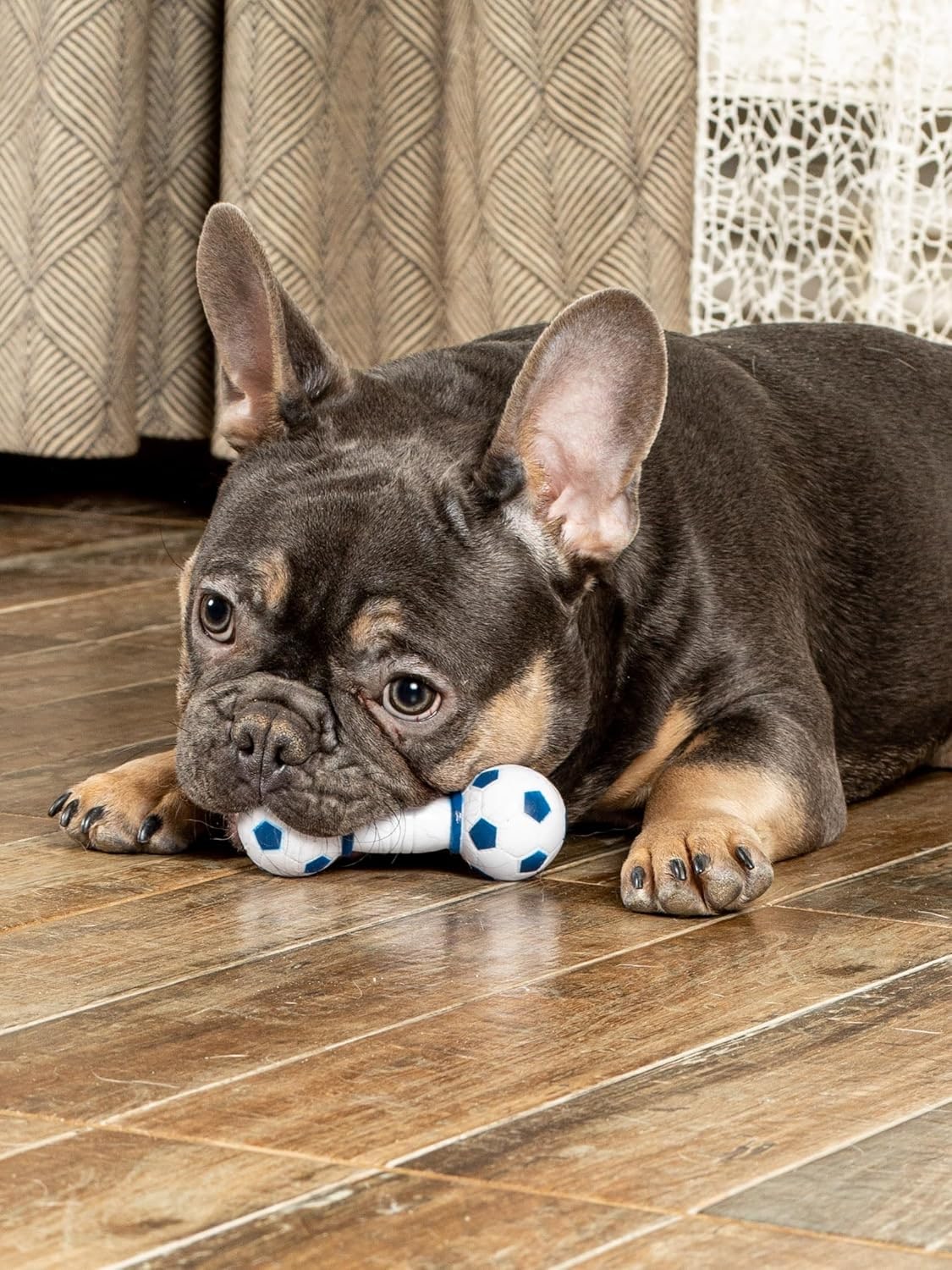 Latex Dog Toy Dumbbell Soft & Robust Chew Toy with Loud Squeaker Durable & Safe Ideal for Small Dogs